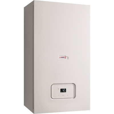 Котёл газовый Protherm РЫСЬ 30 MKO 